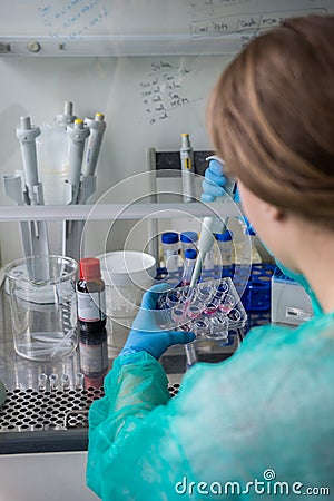 Young woman pipetting sample for analyzing results after human Stock Photo