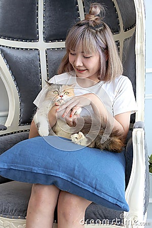 Young woman playing with fancy kitten relax while sitting together sofa at home in the morning Stock Photo