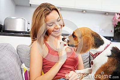 Young Woman Playing With Pet Dog At Home Stock Photo