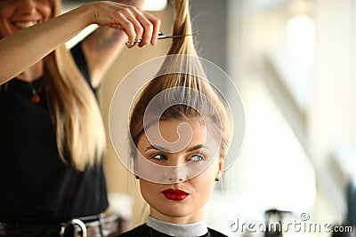 Young Woman with Ponytail Getting Haircut in Salon Stock Photo