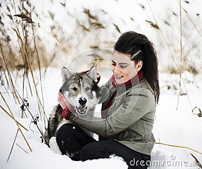 Young woman in red sweater in winter with husky wolf in snow for Stock Photo