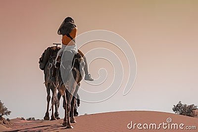 Young woman riding on a dromedary in the Moroccan sand desert Editorial Stock Photo