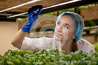 Young woman scientist analyzes and studies research on organic, hydroponic vegetable plots. Caucasian woman observes about growing Stock Photo