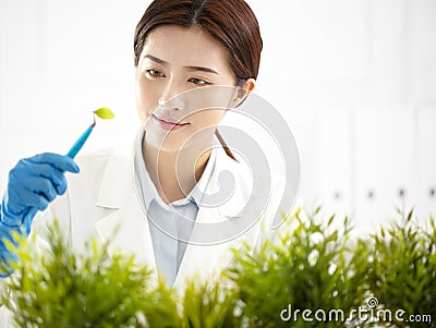 Woman scientist checking the plant Stock Photo