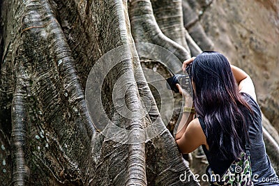 Young woman with Shoulder bag and using a camera to take photo Giant big tree, Size comparison between human and giant big tree in Editorial Stock Photo