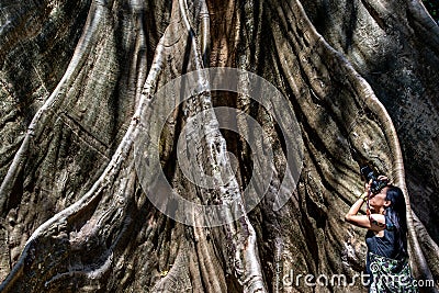 Young woman with Shoulder bag and using a camera to take photo Giant big tree, Size comparison between human and giant big tree in Editorial Stock Photo