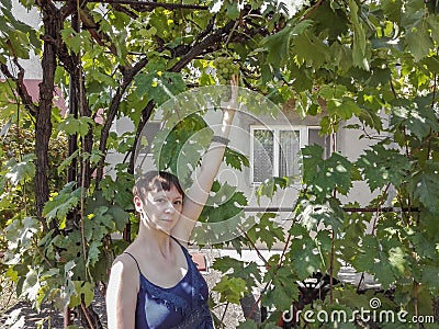 Young woman shows a heap of green grapes harvested by herself in a little grapeâ€™s vineyard. Stock Photo