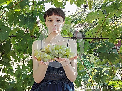 Young woman shows a heap of green grapes harvested by herself in a little grapeâ€™s vineyard. Stock Photo