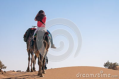 Dromedary caravan with riding tourist in the Moroccan desert Editorial Stock Photo