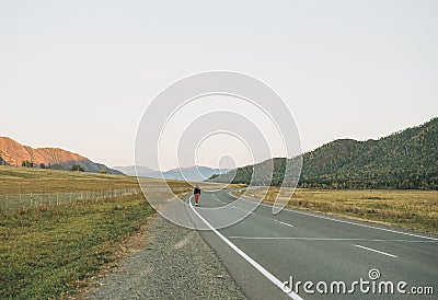 Young woman on skateboard on the road against beautiful mountain landscape, Chuysky tract, Altai Stock Photo