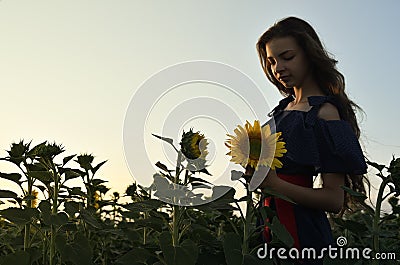 A young woman stands among the fields of sunflowers Stock Photo
