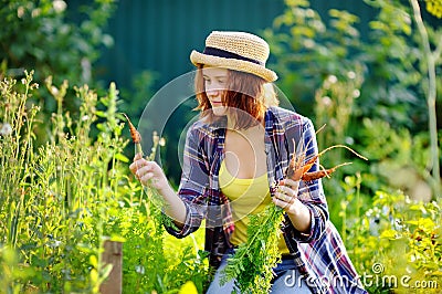 Young woman in straw hat during harvest time Stock Photo