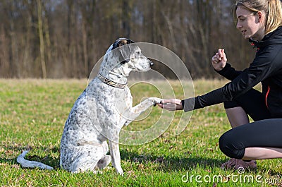 Young woman teaching her dog to present its paw Stock Photo