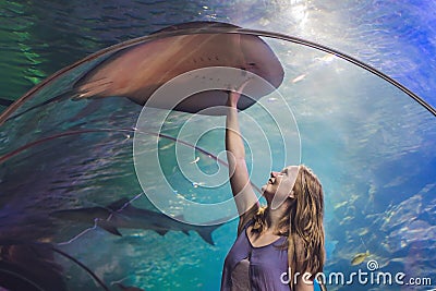 A young woman touches a stingray fish in an oceanarium tunnel Stock Photo