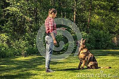 Young woman train german shepherd dog to sit Stock Photo