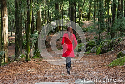 Young woman walking alone on a forest Stock Photo