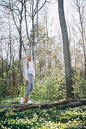 Young woman is walking along a fallen tree in a forest covered with blooming white wood anemones Stock Photo