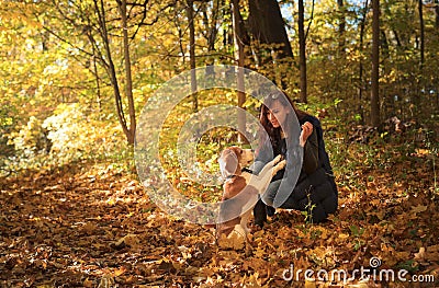 Young woman walking with a beagle Stock Photo