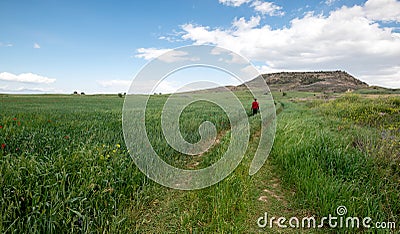 Young woman walking in a grassland green field in spring. Stock Photo