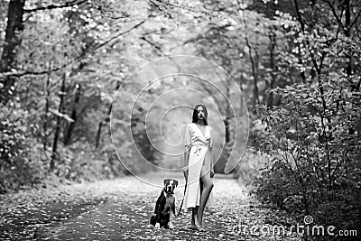 The young woman walks in park with a dog. Sunny day. Animal husbandry. Young woman posing with dog on a autumnal park Stock Photo