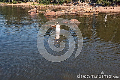 A young woman walks on the water. Lady bathes. Concept of summer vacation, skin and health care, relaxation Stock Photo