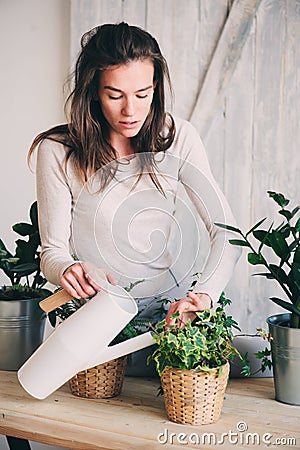 Young woman watering flowerpots at home. Casual lifestyle series in modern scandinavian interior Stock Photo