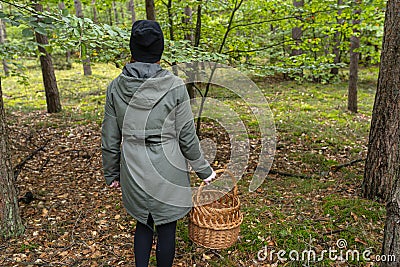 A young woman wearing a black cap and olive coat stands backwards in the woods holding a wicker basket to collect mushrooms. Stock Photo