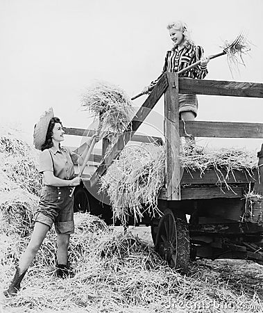 Young women bucking hay Stock Photo