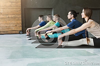 Young women and men in yoga class, doing stretching exercises Stock Photo