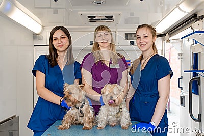 Young women professional pet doctors posing with yorkshire terriers inside pet ambulance. Animals healthcare concept Stock Photo