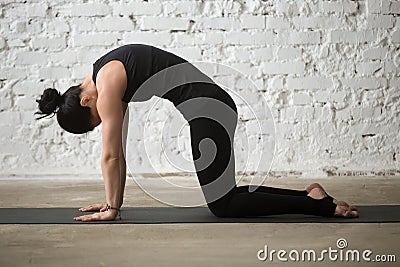 Young yogi attractive woman in Cat pose, white loft background Stock Photo