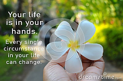 Inspirational motivational quote - Your life is in your hands. Every single circumstance in your life can change. With Bali flower Stock Photo