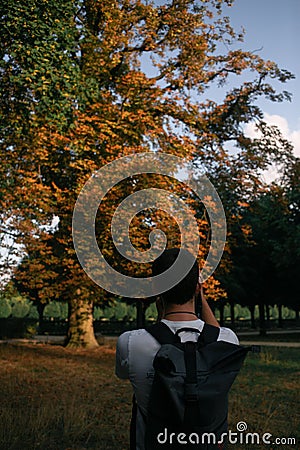 Yping photographer with backbag shootong a long autumn tree in the park under blue sky Stock Photo