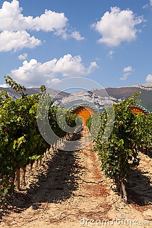 Ysios bodega and vines, LaGuardia, La Rioja, Spain Editorial Stock Photo