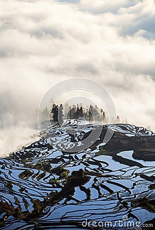 Yuanyang rice terrace at sunrise, Yunnan province, China Stock Photo