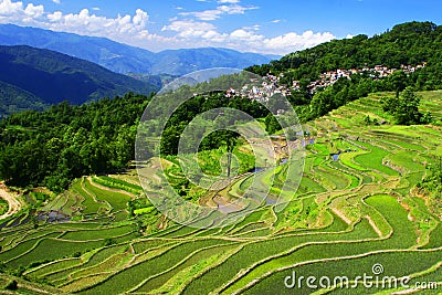 Yuanyang Rice Terraces Stock Photo
