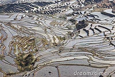 YuanYang rice terraces in Yunnan, China, one of the latest UNESCO World Heritage Sites Stock Photo