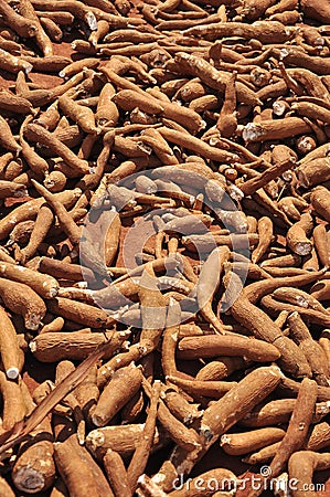 Yuca, cassava or manioc roots Stock Photo