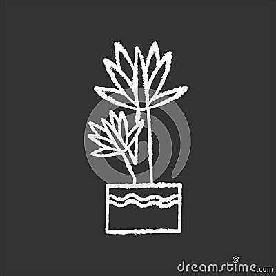 Yucca chalk white icon on black background. Small exotic indoor palm. Mexican tree. Decorative houseplant with pointed Vector Illustration