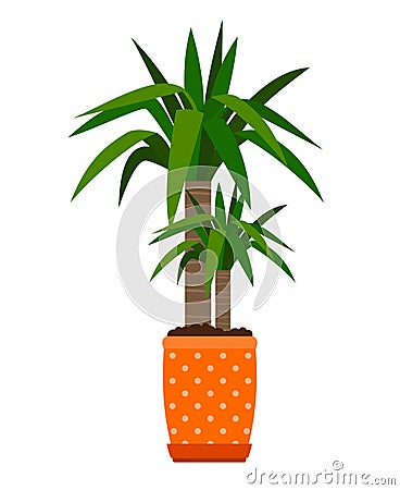 Yucca houseplant in flower pot Vector Illustration