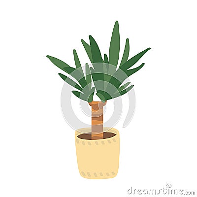 Yucca Vector Illustration