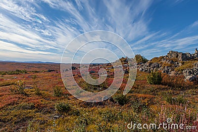 Yukon arctic tundra in fall colors Stock Photo