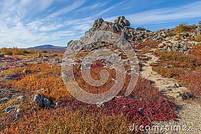 Yukon arctic tundra in fall colors Stock Photo