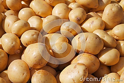 Yukon Gold Potatoes Stock Photo