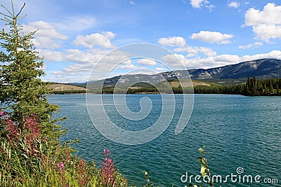 Yukon River, Whitehorse, Yukon, Canada Stock Photo