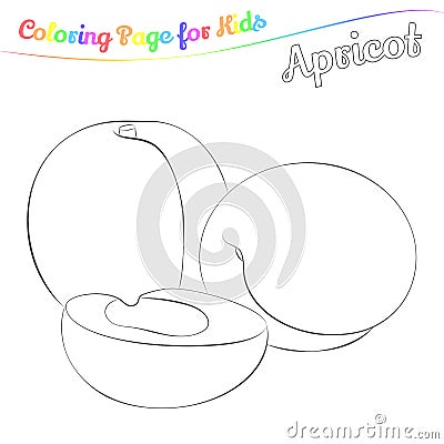 Yummy apricot for coloring in imple cartoon style. Page for art coloring book for kids. Vector illustration Vector Illustration