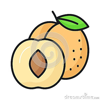 Yummy apricot vector design, icon of healthy fruits in modern style Vector Illustration