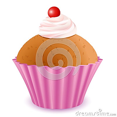 Yummy Cup Cake Vector Illustration