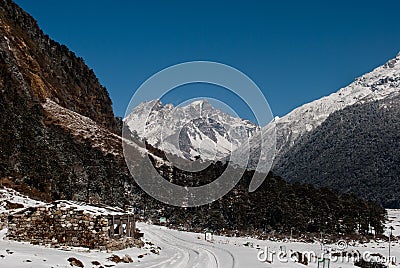 Yumthang Valley Editorial Stock Photo