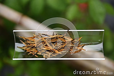 Yunnan Black Tea Dianhong Big Golden Bud Stock Photo